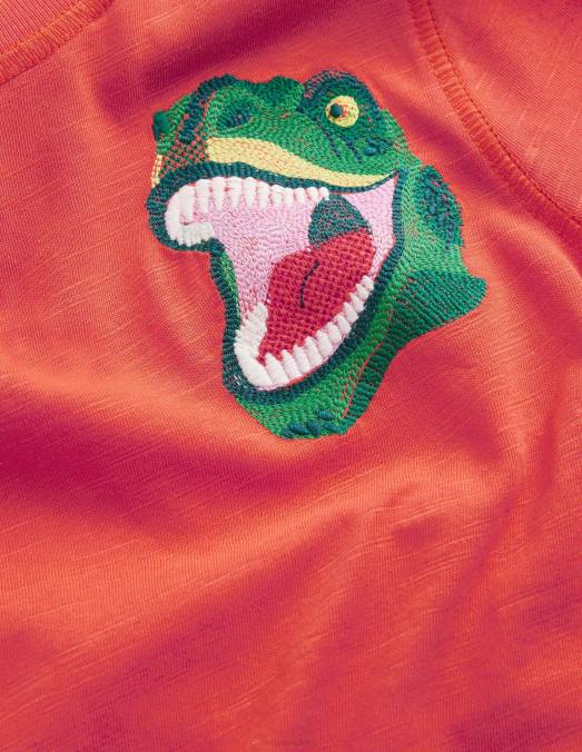 Boden vêtements dinosaure mandarine bébé t-shirt à surpiqûres délavées LB2X3414