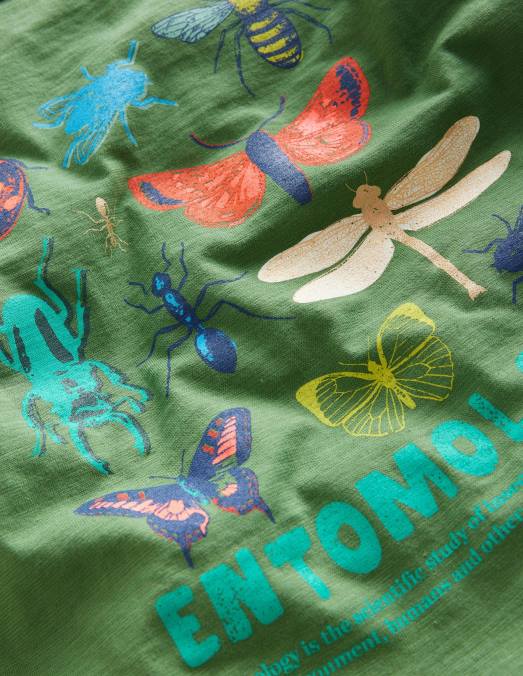 Boden vêtements vert safari garçons t-shirt amusant avec logo scientifique LB2X864